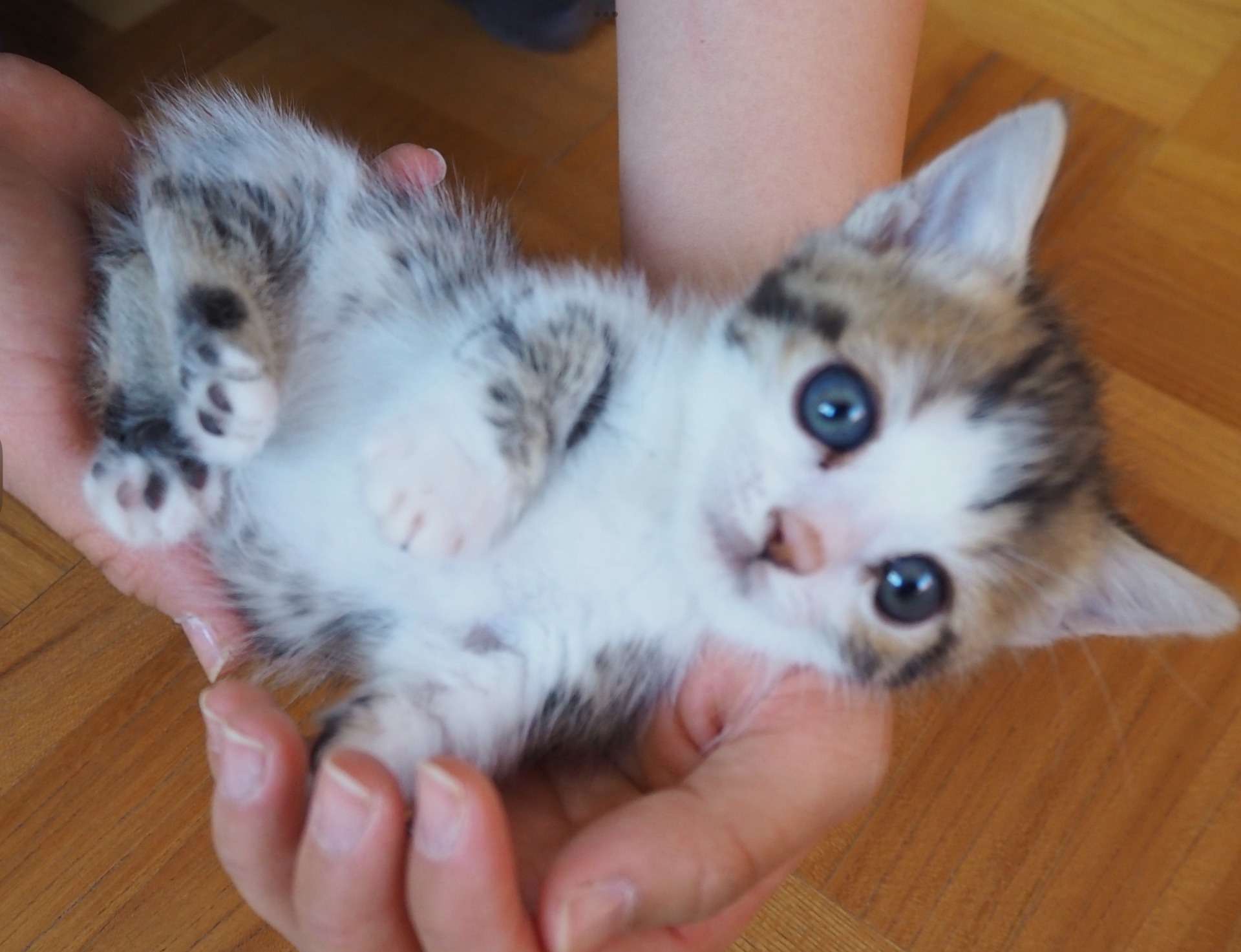 まあるいお目目の男の子!